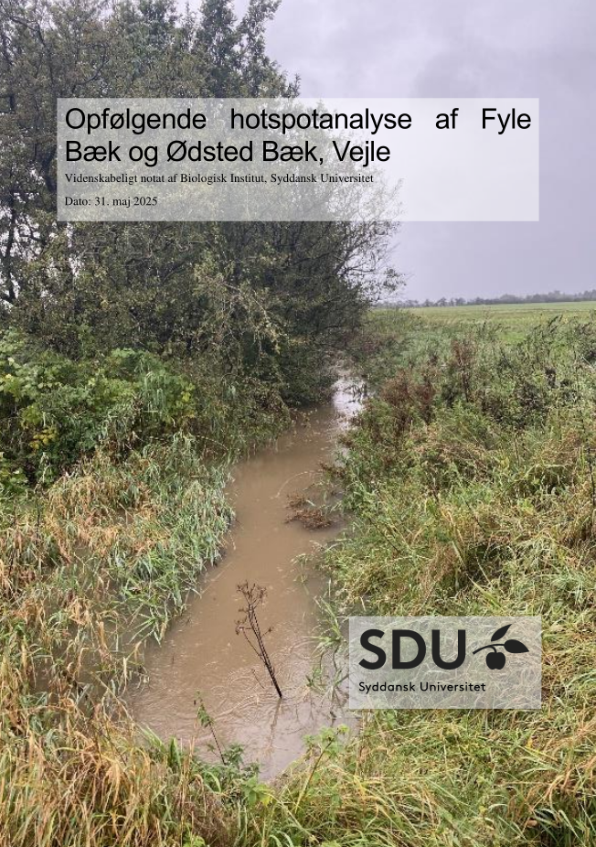 SDU Hotspotanalyse