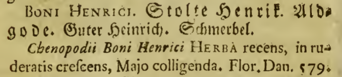 Stolt Henrik Konsortium - Flora Danica